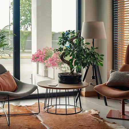 Faros Airport Hotel 3*